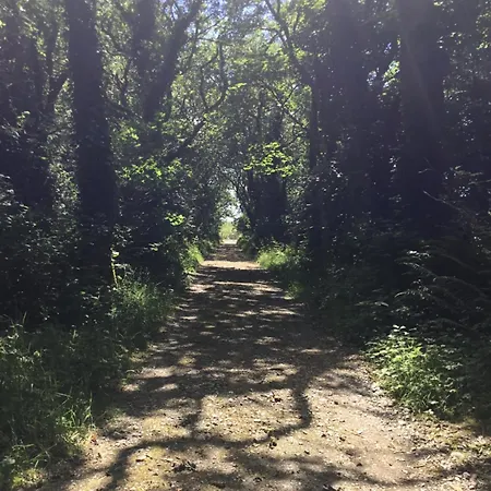 Traditional 18th Century Converted Stables * ווקספורד