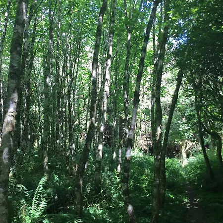 بيت للعطل Traditional 18th Century Converted Stables *