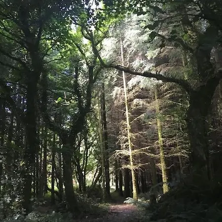 بيت للعطل Traditional 18th Century Converted Stables ويكسفورد