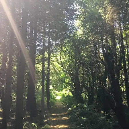 בית נופש Traditional 18th Century Converted Stables *