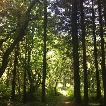 Traditional 18th Century Converted Stables ويكسفورد