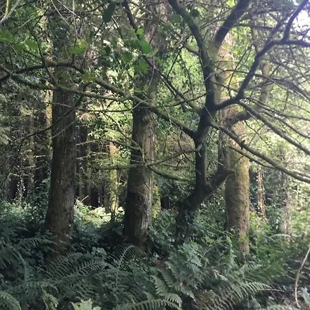 Traditional 18th Century Converted Stables בית נופש
