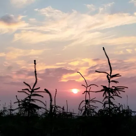 Traditional 18th Century Converted Stables بيت للعطل