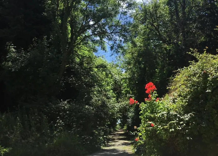Traditional 18th Century Converted Stables 別荘 ウェックスフォード