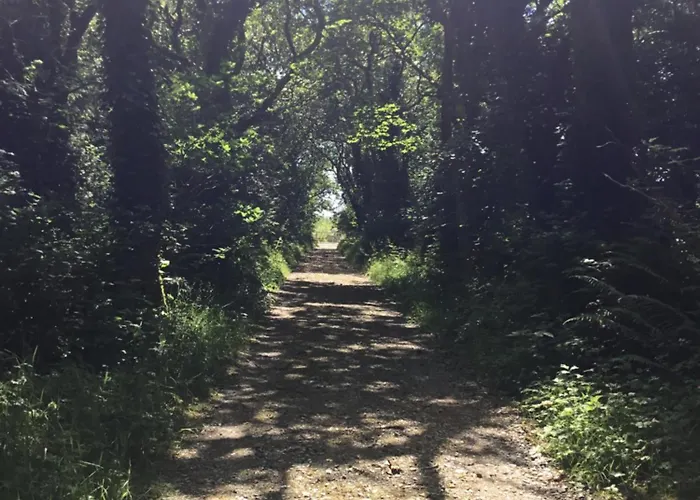 Traditional 18th Century Converted Stables * Wexford