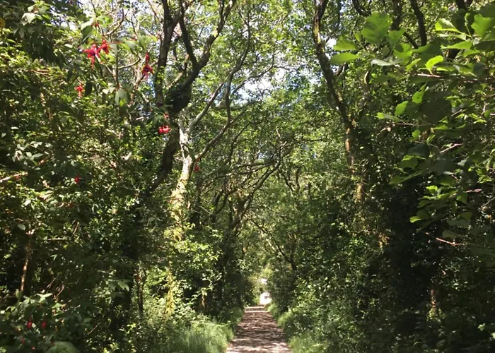 Dom wakacyjny Traditional 18th Century Converted Stables *