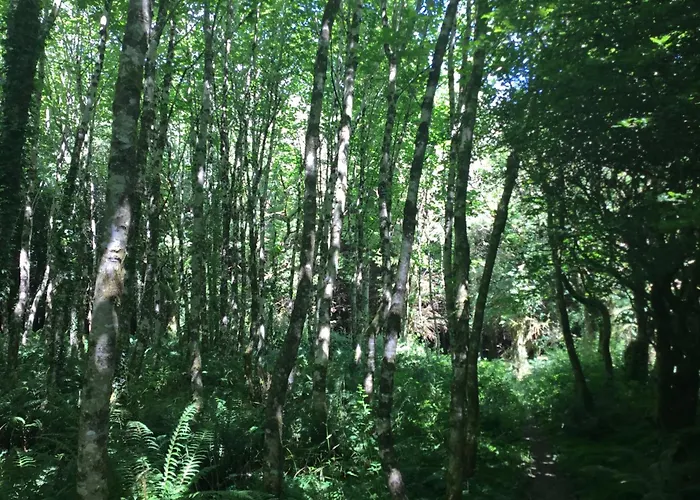 別荘 Traditional 18th Century Converted Stables *