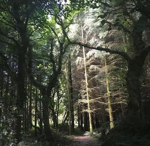 別荘 Traditional 18th Century Converted Stables ウェックスフォード