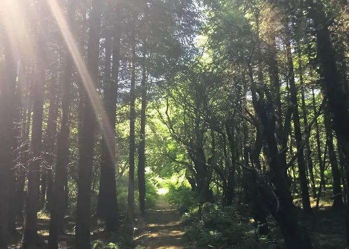 別荘 Traditional 18th Century Converted Stables *