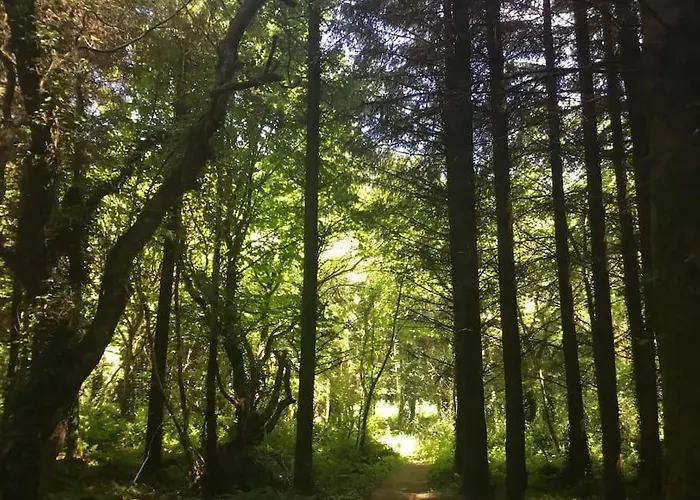 Traditional 18th Century Converted Stables ウェックスフォード