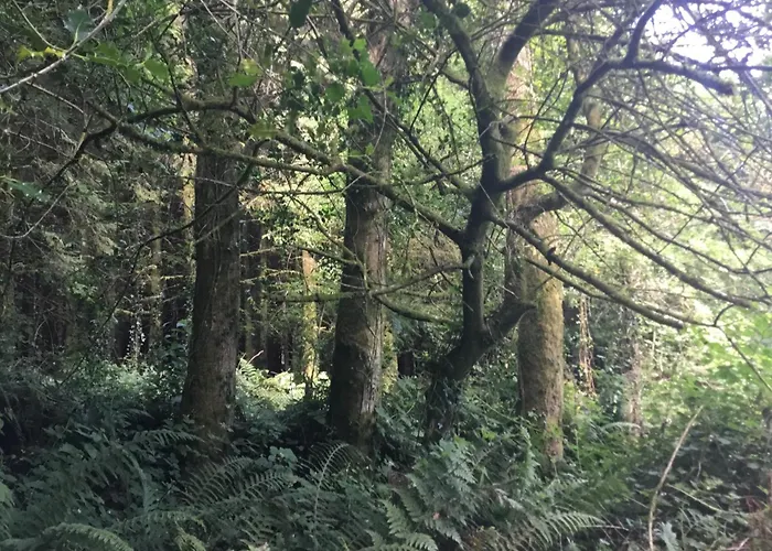 Traditional 18th Century Converted Stables Dom wakacyjny