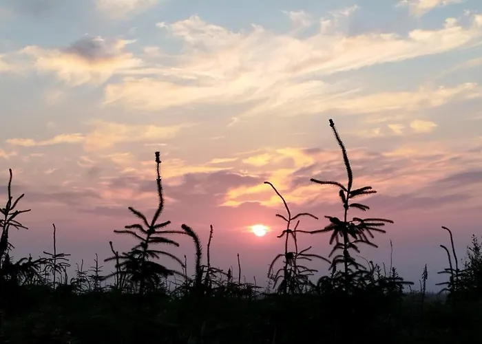 Traditional 18th Century Converted Stables Dom wakacyjny